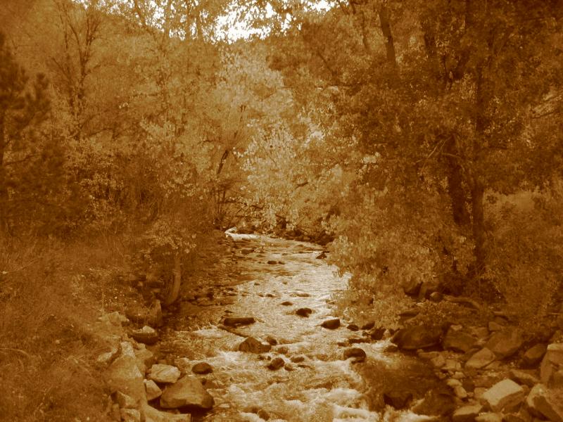 2004/10 Oct/800x600_041008 boulder creek1.JPG